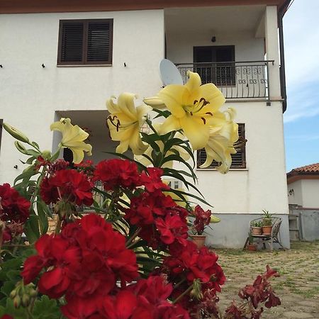 Apartments Bodi Rovinj Kültér fotó